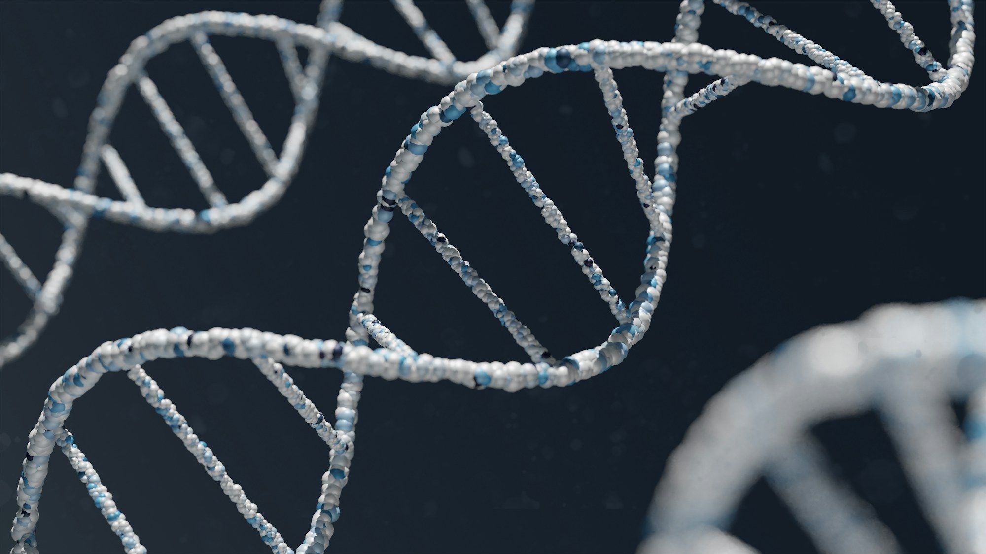 Sinivalkoisia DNA:n kaksoiskierteen malleja tummaa taustaa vasten, etualan kierre tarkkana ja taaemmat sumeina.