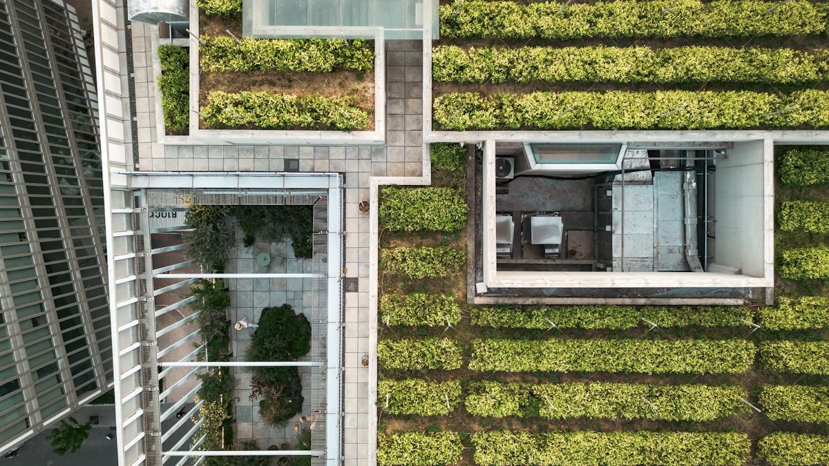 Ilmakuva rakennuksesta, jonka tasakatolla kasvaa vihreää kasvillisuutta