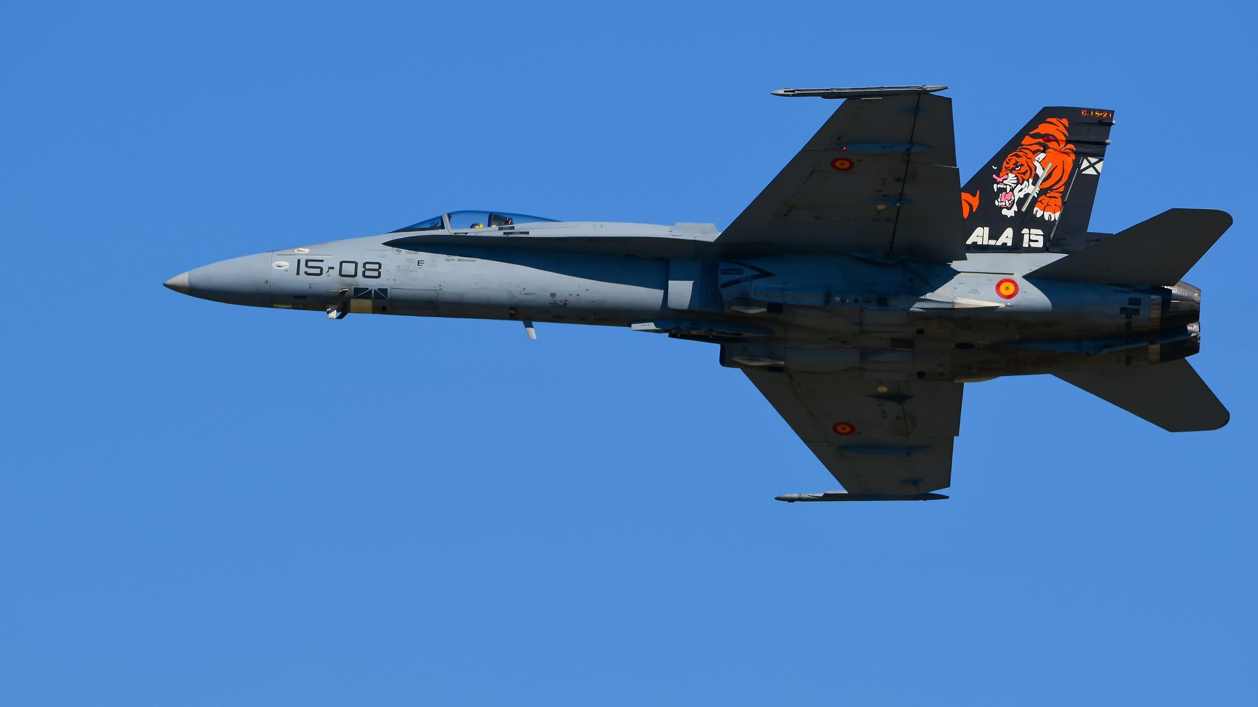 Harmaa Hornet-hävittäjä lentää sinisellä taivaalla. Pystyvakaajassa on oranssi tiikeri ja teksti ALA 15, rungossa tunnus 15-08 ja Espanjan kokardit.